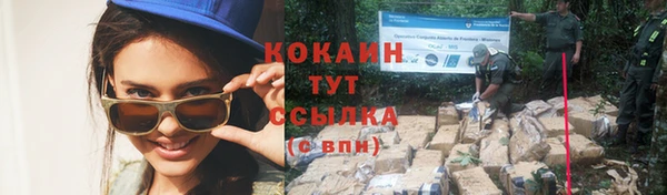 прущие крисы Богородицк