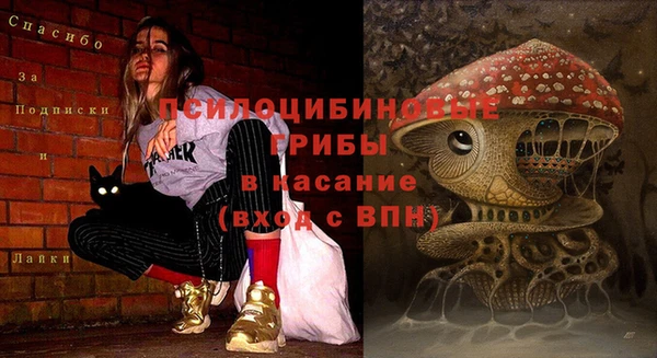 кокаин премиум Богданович