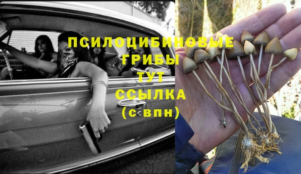 прущие крисы Богородицк