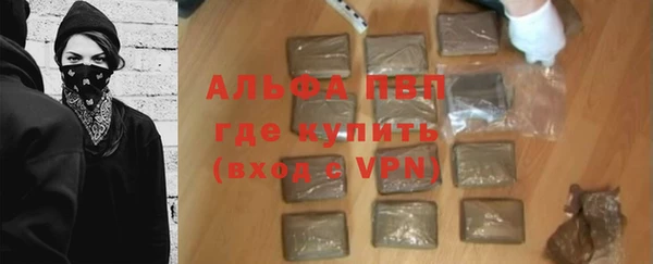 индика Богородск