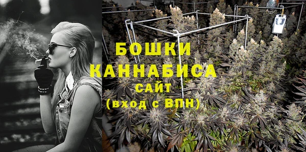индика Богородск