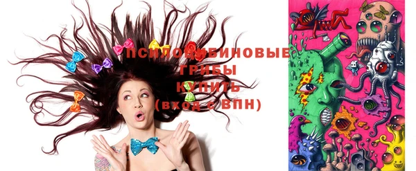 индика Богородск