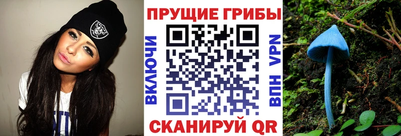 нарко площадка клад  Болотное  Галлюциногенные грибы ЛСД 