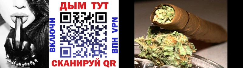 Бошки Шишки план  Болотное 